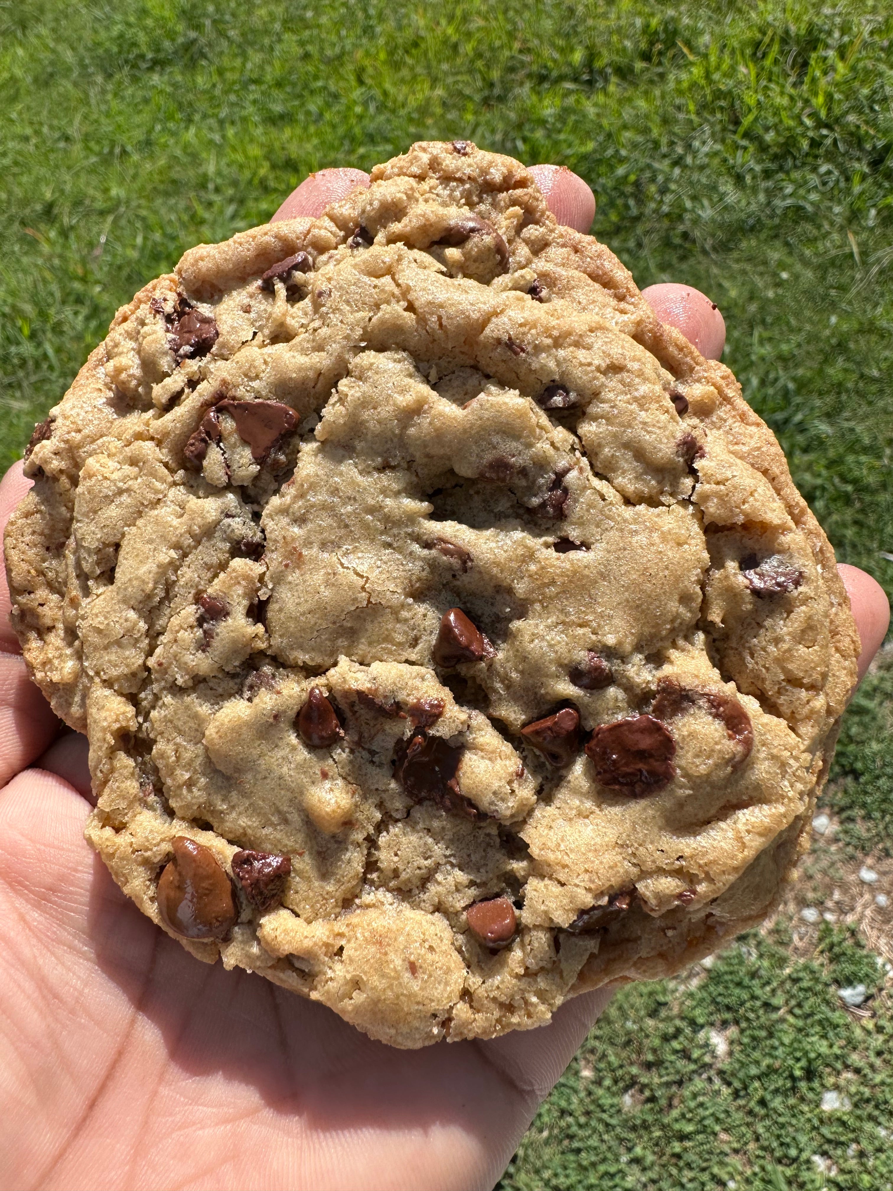 chocolate chip cookies