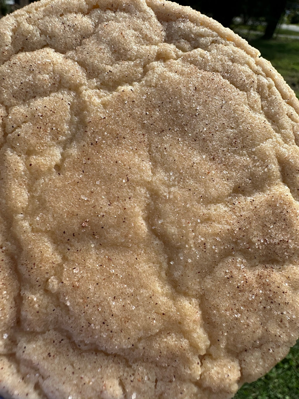 caramel apple cider cookies