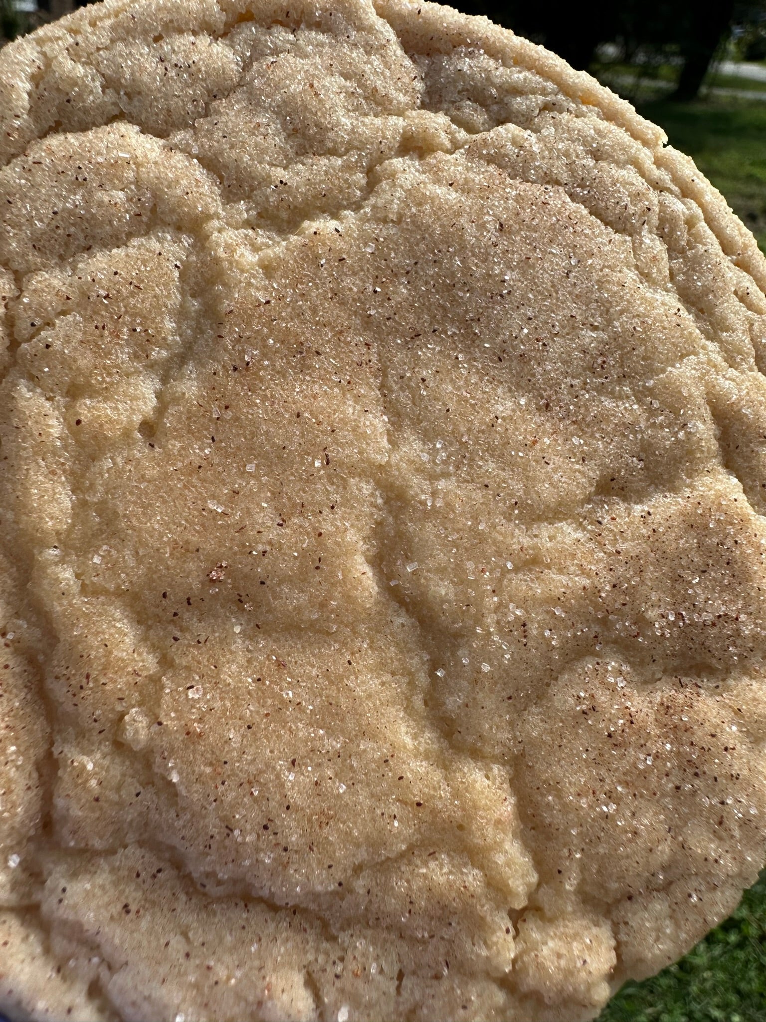 caramel apple cider cookies