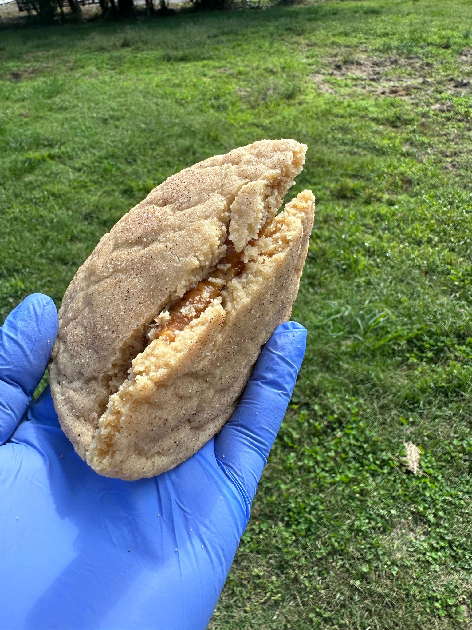 caramel apple cider cookies
